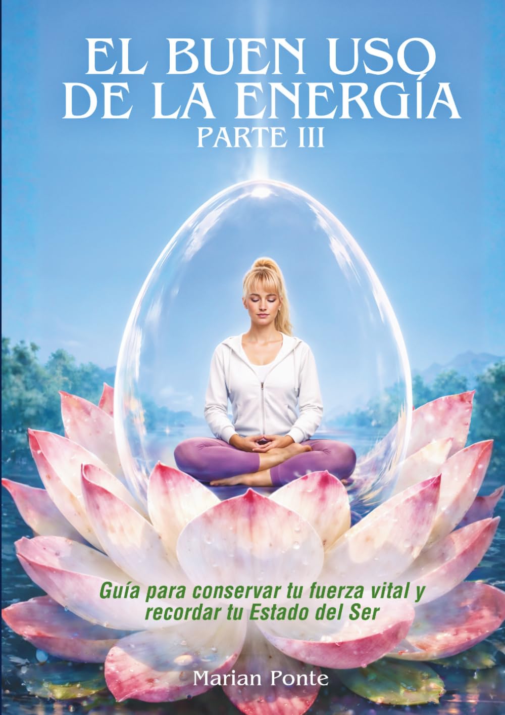 EL BUEN USO DE LA ENERGÍA PARTE III. CONSCIENCIA ENCARNADA.: Cuerpo, trauma y los límites reales de la energía