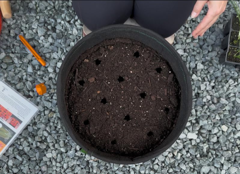 Hand Pollinator + Seeding Circle Conjunto para Jardín miniatura 7