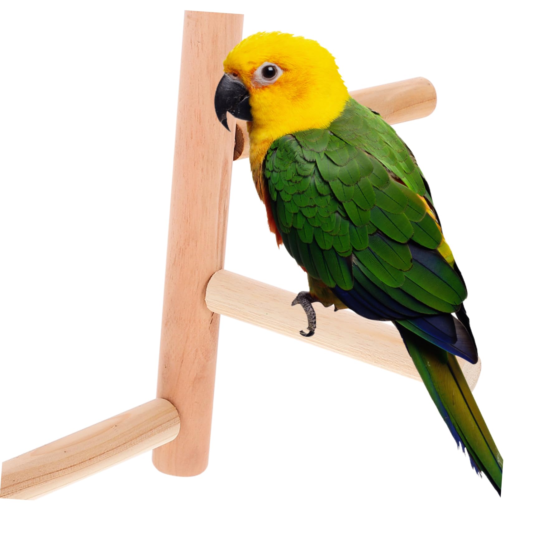 Pack De 10 Posaderos De Plástico Para Jaulas De Pájaros – Perchas Coloridas Para Periquitos, Canarios Y Pequeñas Aves