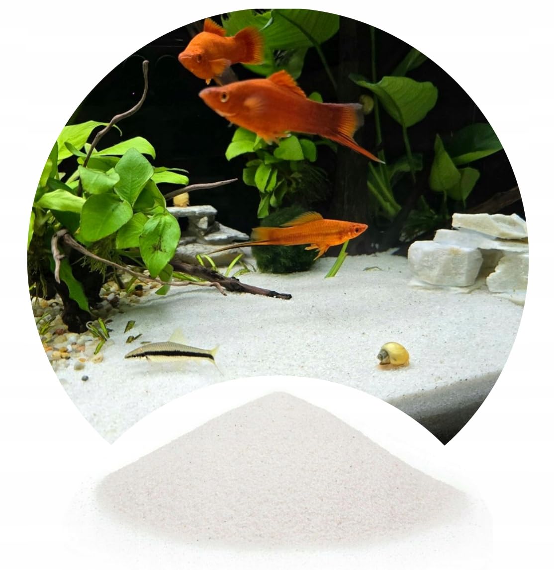 TM Aquatix White Aquarium Sand Natural Substrate For All Types Fish Tanks Silica 0,5-1,2mm 2kg — image 1