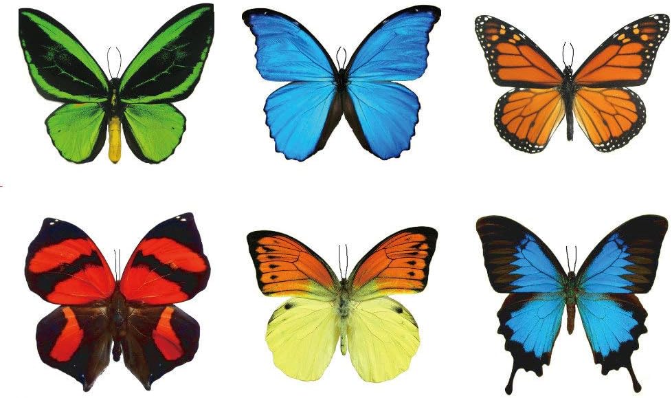 Large Butterfly Temporary Tattoos by Butterfly Utopia (6 Sheets)