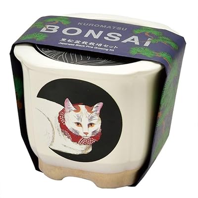 浮世絵デザイン盆栽キット｜美濃焼鉢で育てる黒松・赤松の栽培セット