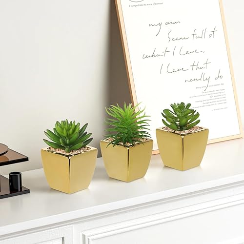 Miniatura 31 de Hollyone Plantas suculentas artificiales grandes en macetas, plantas suculentas falsas de plástico en maceta con maceta de cerámica blanca para 1