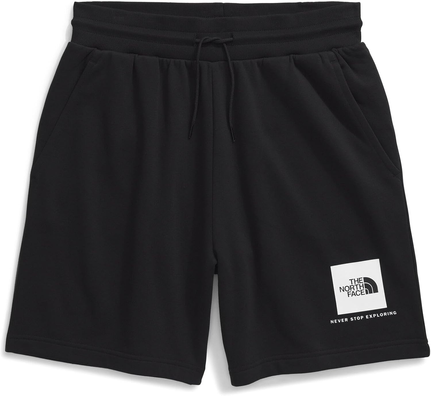 The North Face Men's Box NSE Regular Shorts