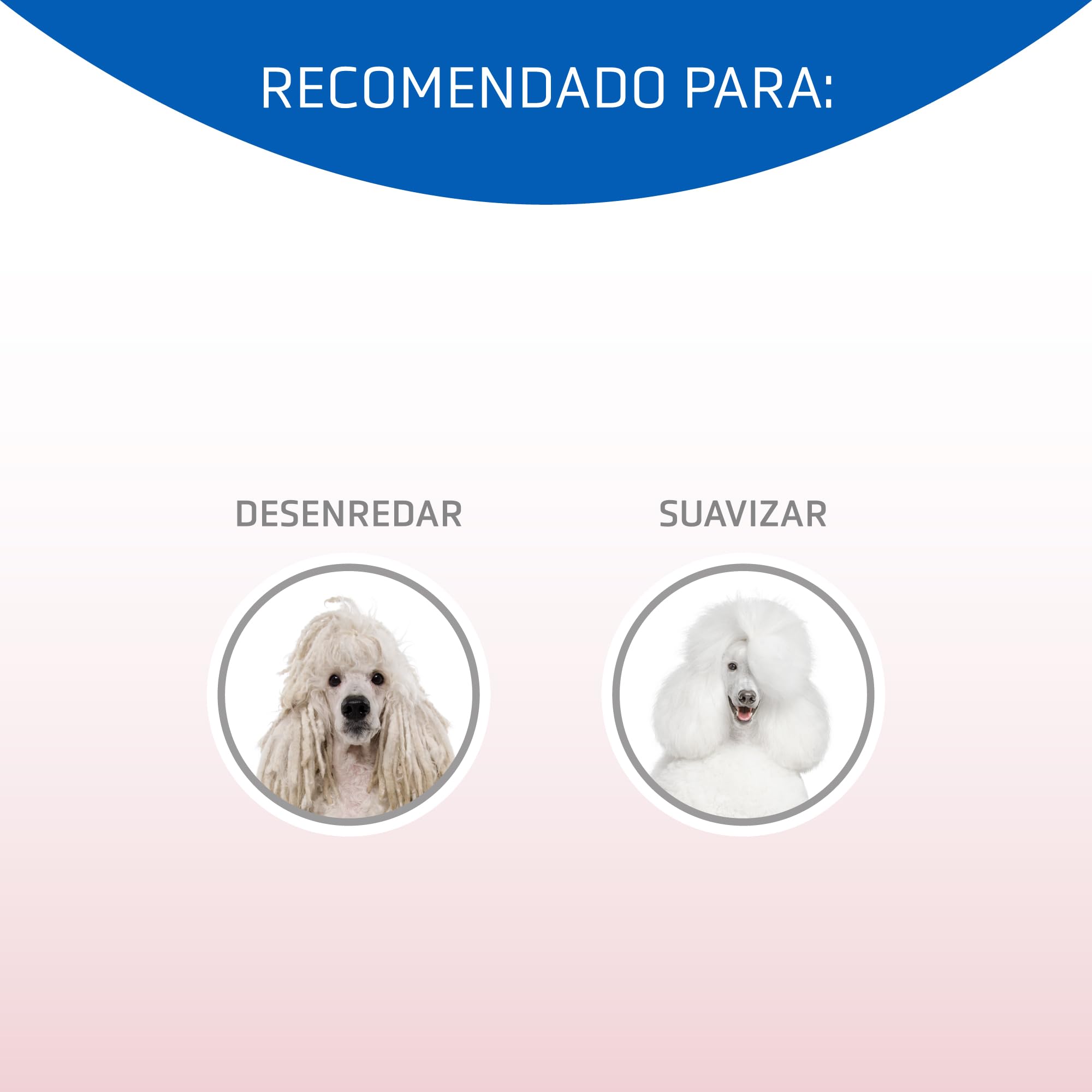 Artero Matt-X. Acondicionador Desenredante para Perros y Gatos – Spray Profesional Antinudos – Suaviza, Acondiciona y Elimina la Estática – Pelo Suave y Brillante – 300ml