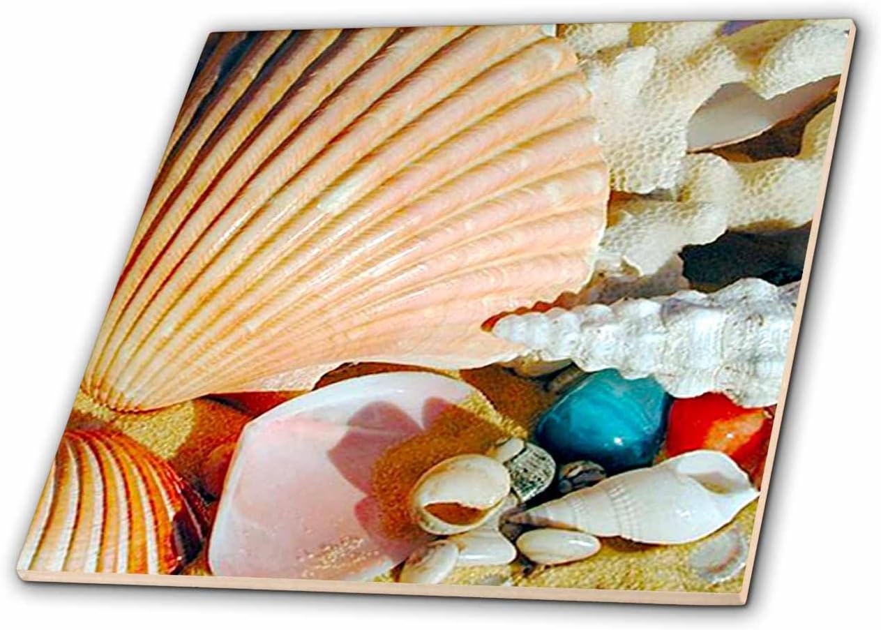 12 Inch Ceramic Tile - Sea Shells