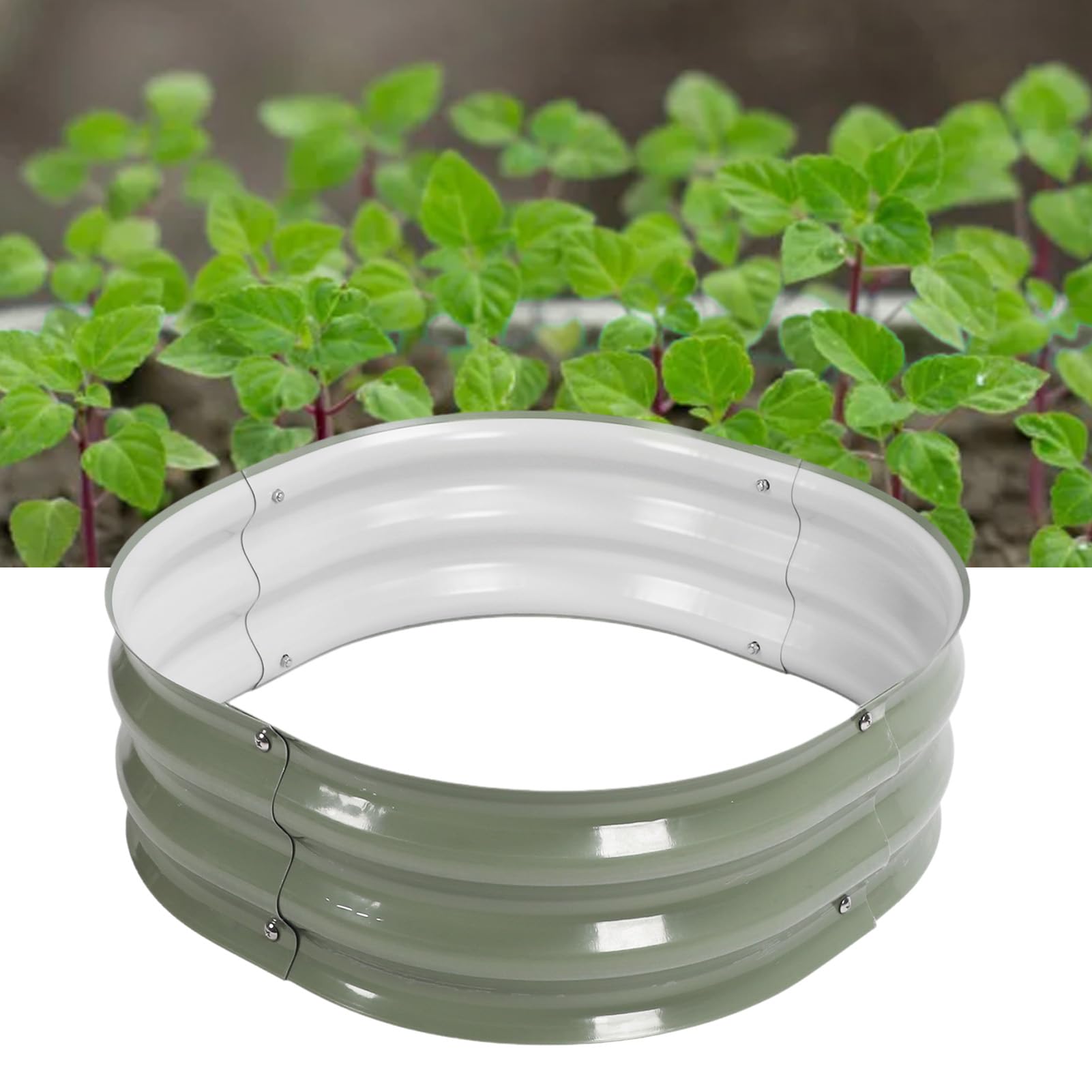 Metal Raised Garden Bed Kit 6 in 1, Fruits Vegetables Flowers Planter Box, Large 60x60x20cm raised bed, Safety Edging and Gloves (Light Green)