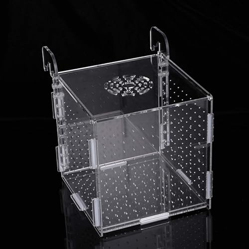 Miniatura 13 de Caja de cría de peces, caja de incubadora de incubadora, cajas de cría de peces de acuario, cajas divisorias para eclosionar, accesorio
