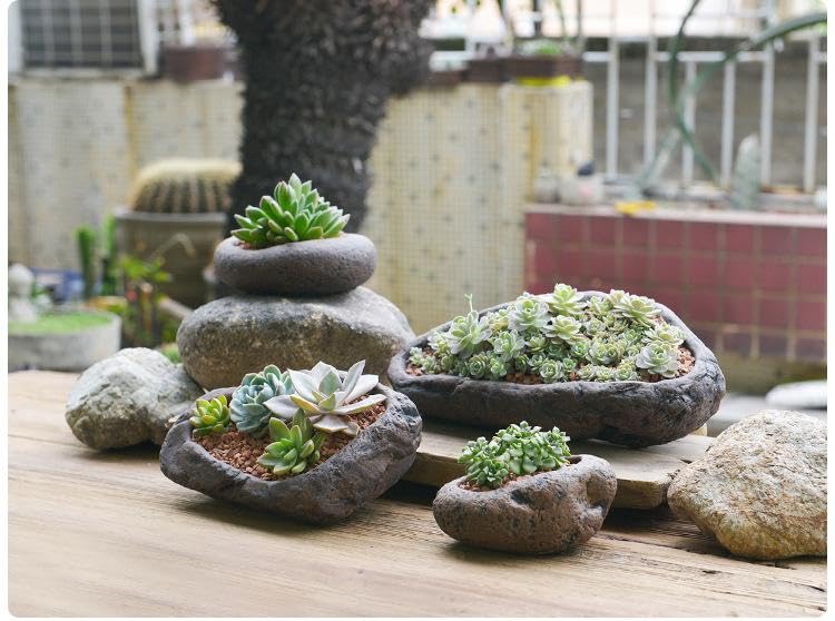 Amazon.co.jp: Generic 石の植木鉢 プランター 多肉植物鉢 寄植え 観葉  