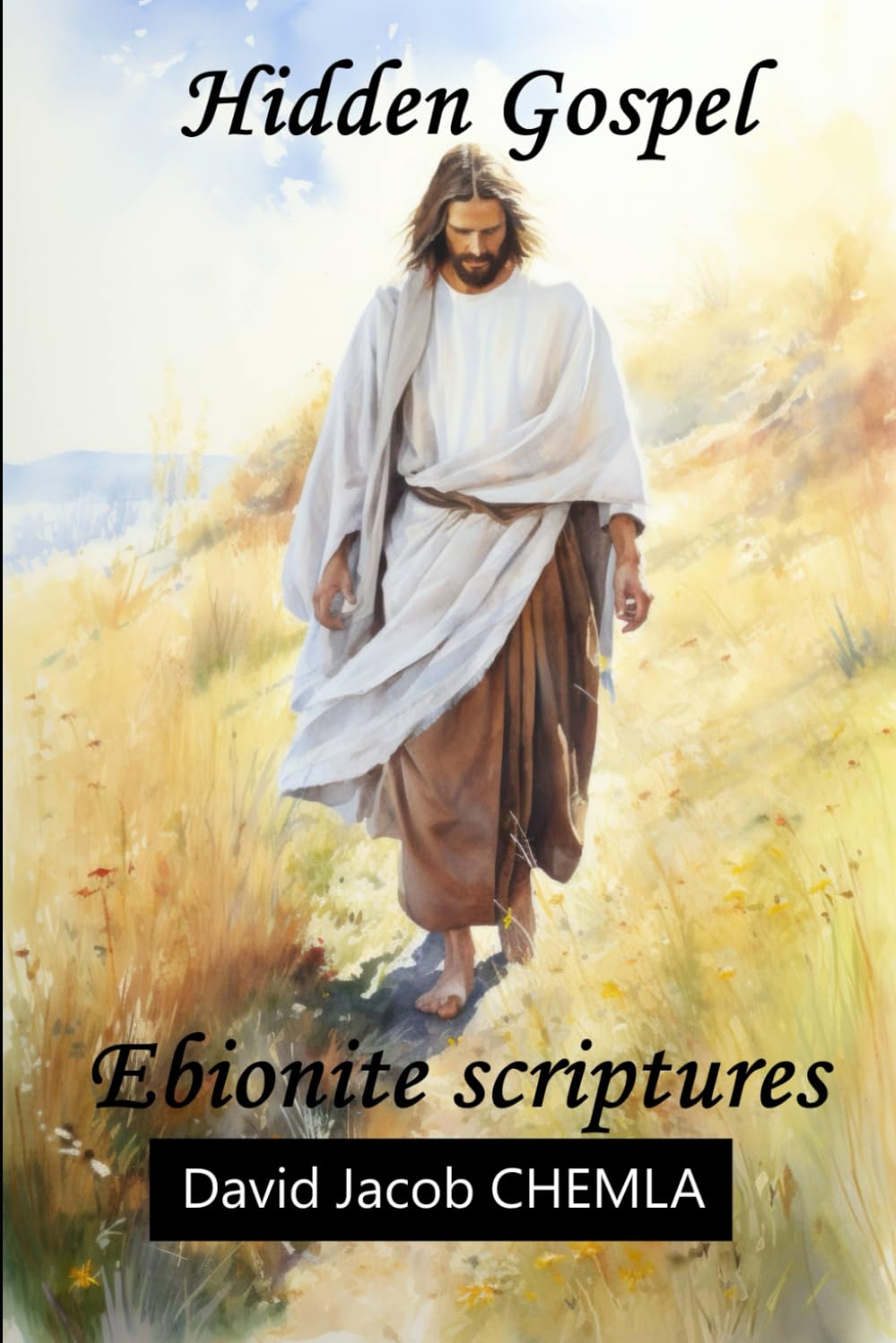 Hidden Gospel: The Ebionite scriptures