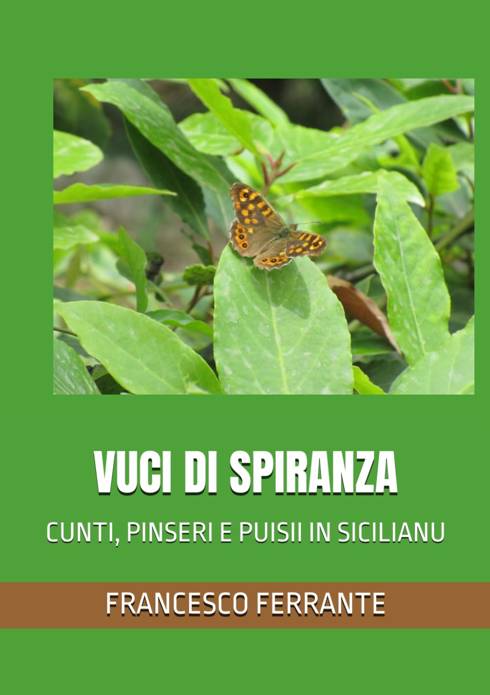 VUCI DI SPIRANZA: CUNTI, PINSERI E PUISII IN SICILIANU