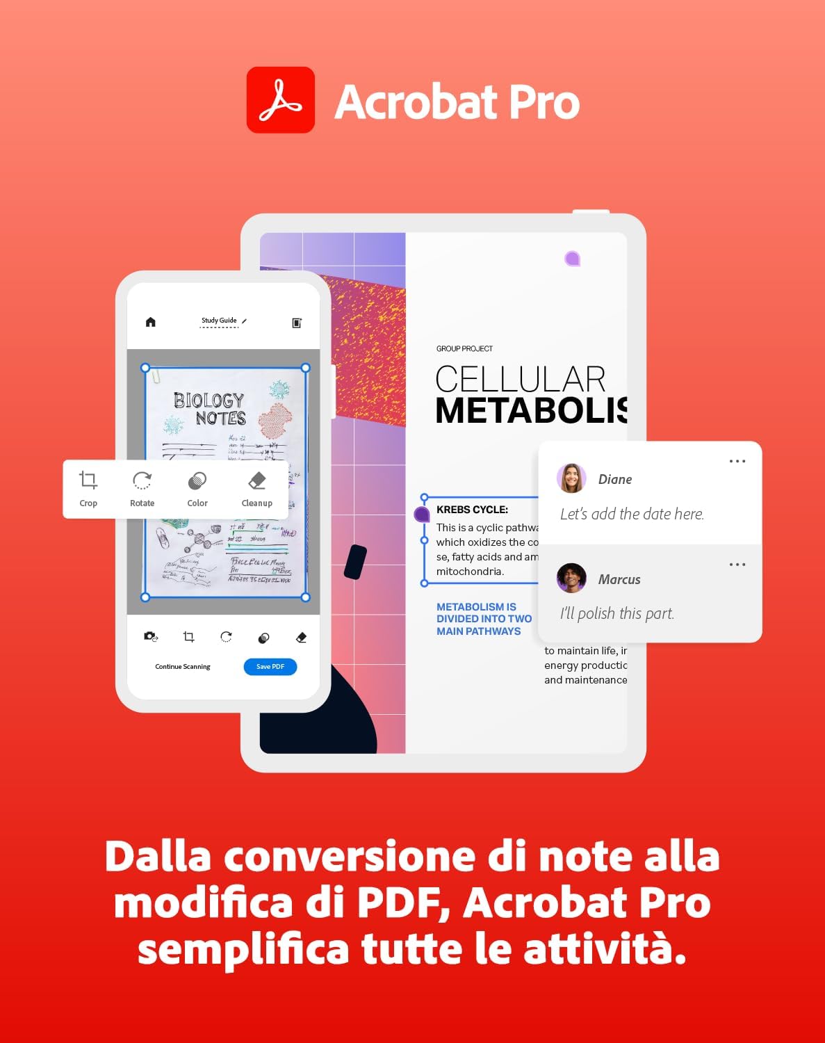Adobe Creative Cloud Pro | Student & Teacher | Software Creativo con IA | 1 Anno | PC/Mac | Download Digitale
