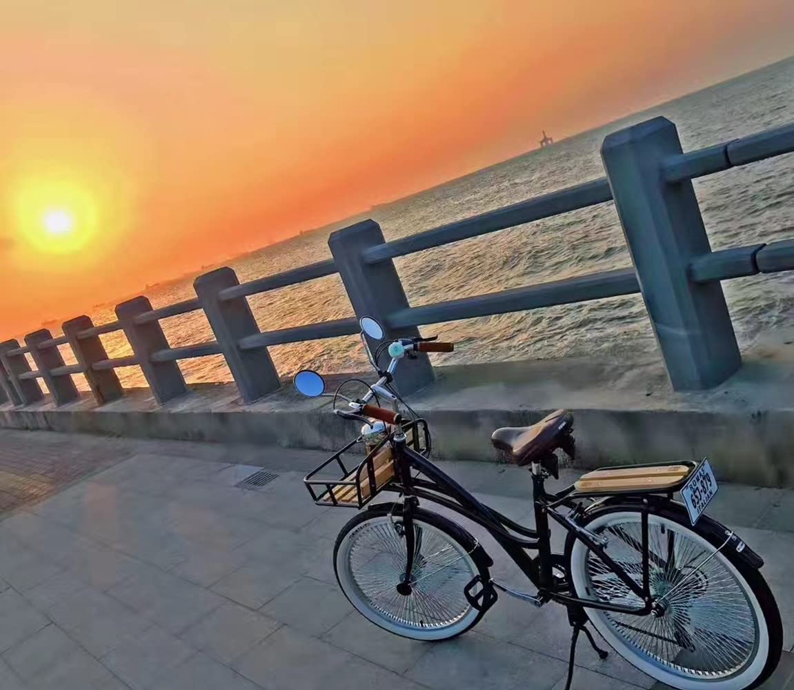 TentHome Retro Fahrradspiegel 2 Stück Rückspiegel Fahrrad Seitenspiegel Verstellbar Spiegel HD Reflektor für Lenker Ebike Mountainbike Radfahren Rund
