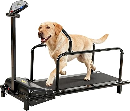 Dog Treadmill, Slatmill for Dogs with Safe Indoor Design, Adjustable Speeds, Display Screen, Quiet Motor, Pet Running Machine for Small/Medium Dogs