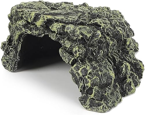 AllBright ঒ރVF^[ ঒ VF^[ B A gl nEX   gJQ N T Mы (O[, L)