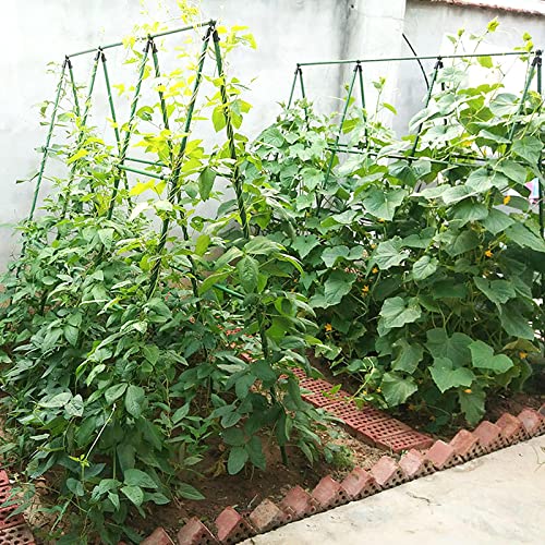 SUNYRISY Gurke Rankhilfe im Set, Pflanzenhalter für Gurke, Rankhilfen für Kletterpflanzen, Pflanzenstütze für Blumen & Nutzpflanzen, 120 cm Lang, Grün 6
