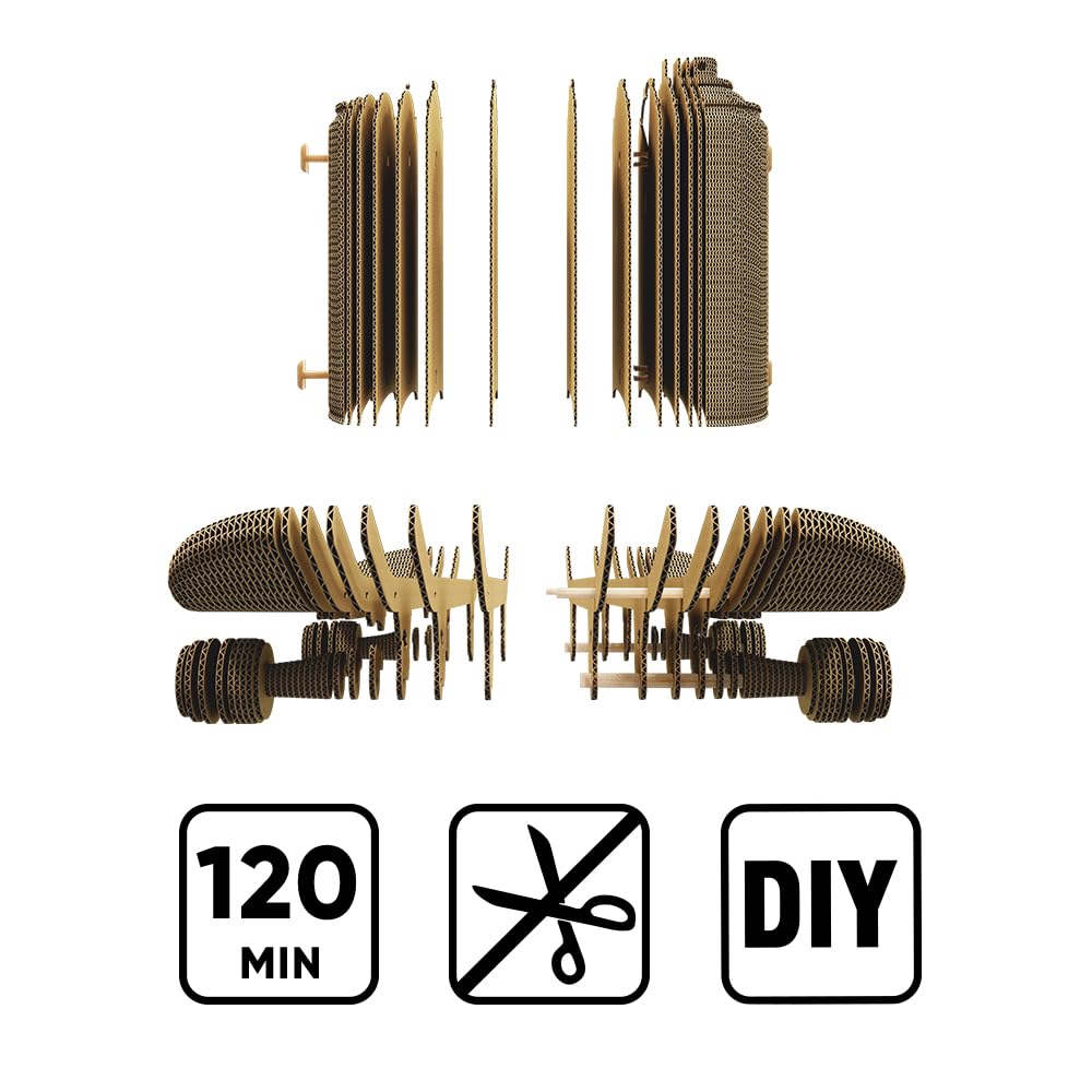 Skateboard Puzzle 3D en Carton – Coffret 2 Maquettes