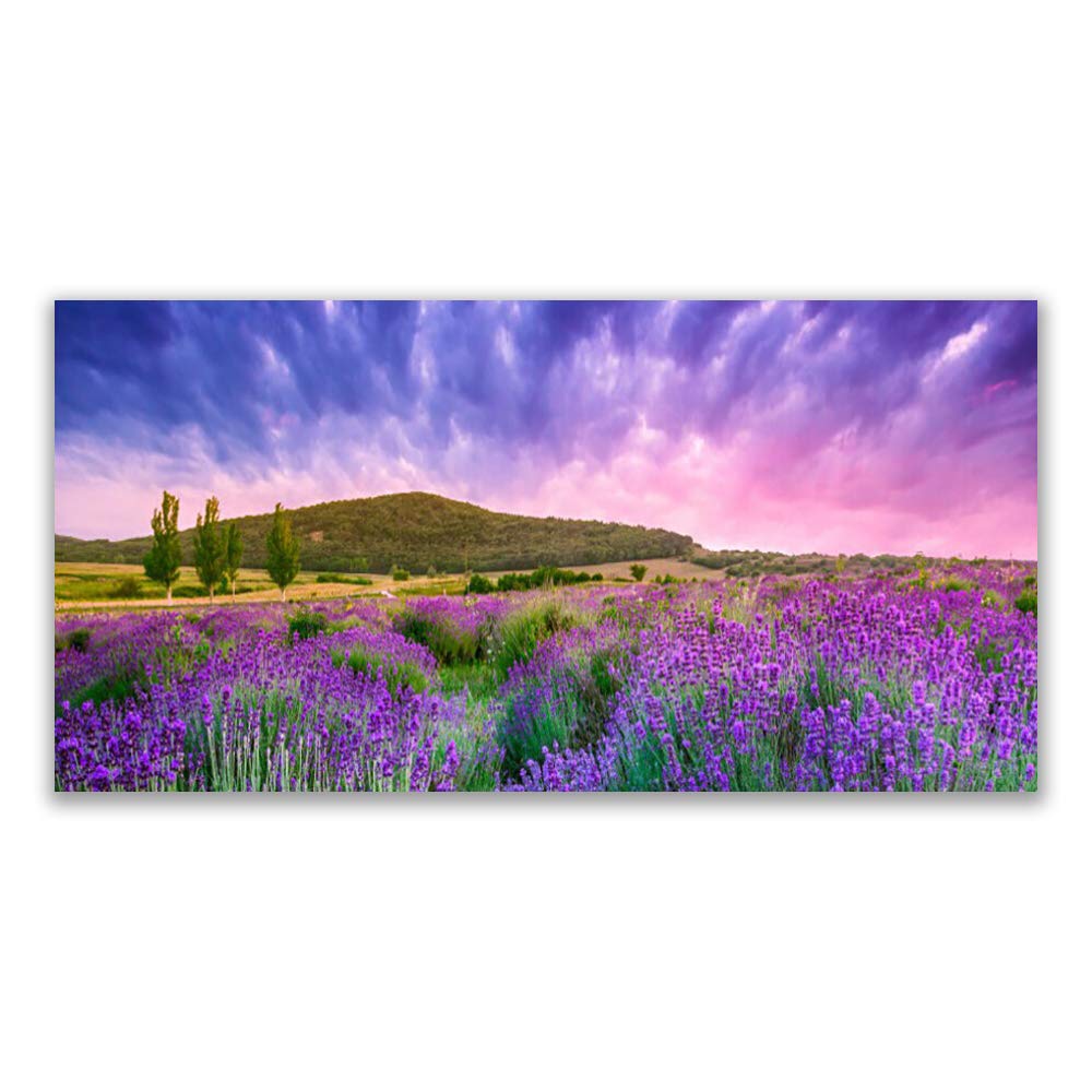 Tableau Moderne Nature Prairie pour Grand Salon Lumineux - Verre Trempé 140x70cm