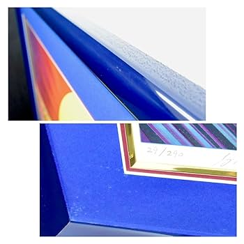 長岡秀星 リトグラフ アイルトン・セナ直筆サイン入り Amazon.co.jp: (4-8022)長岡秀星『アイルトンセナ 栄への軌跡