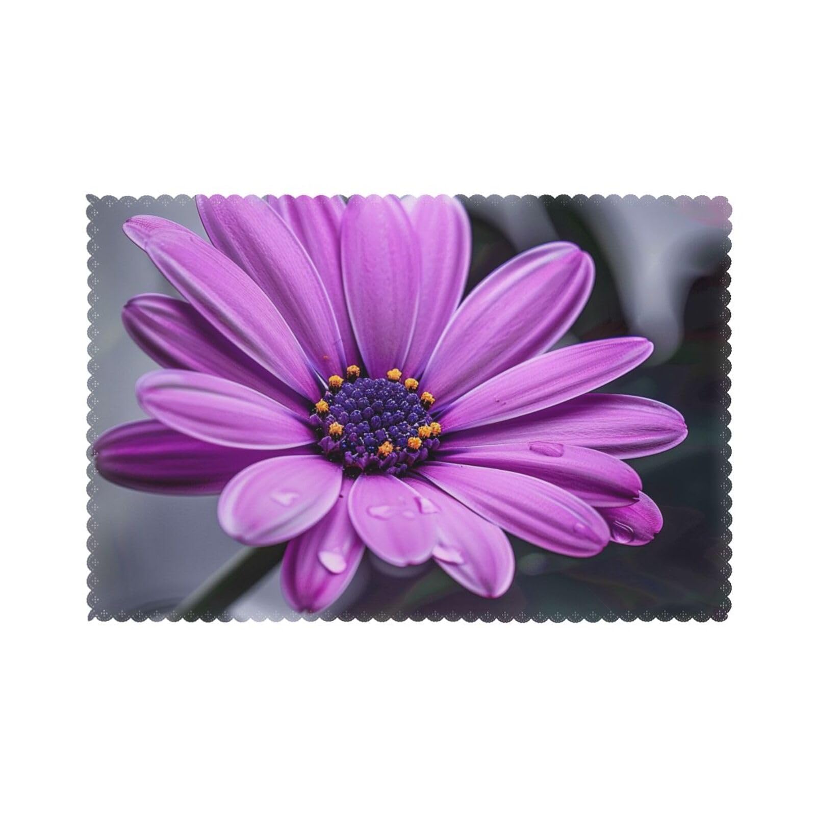 Washable Placemats Set of 6, Purple Flower Prints Heat Resistant Non-Slip Table Place Mats for Morden Decor Dining Wedding,45x30 CM