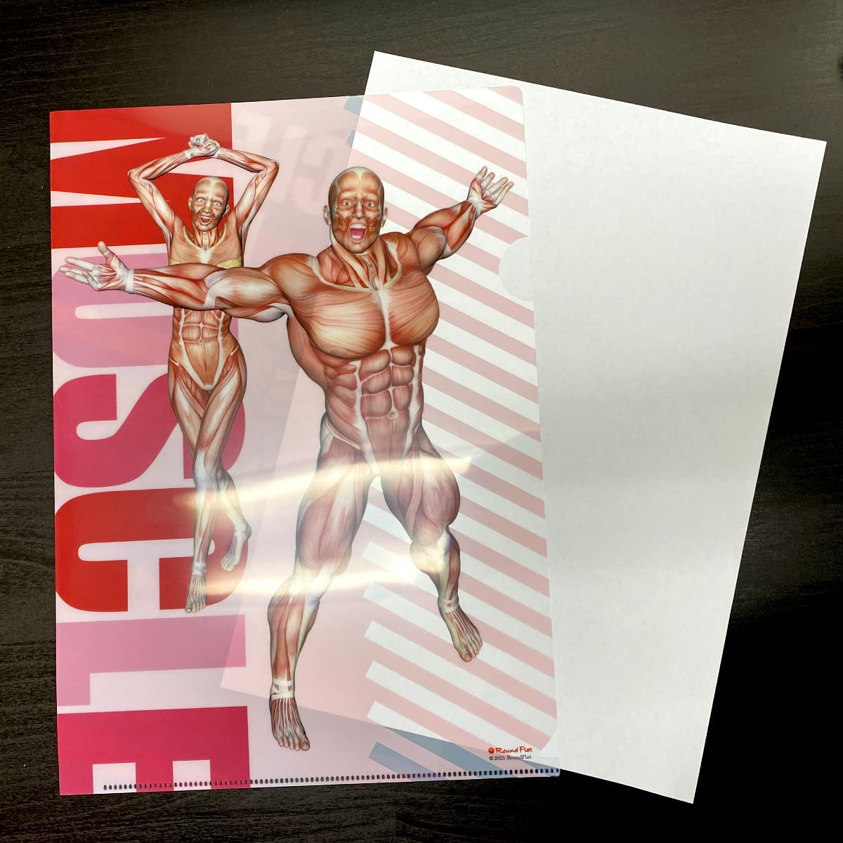 Amazon | 筋肉家 筋次郎コレクション1 クリアファイル3枚セット A4