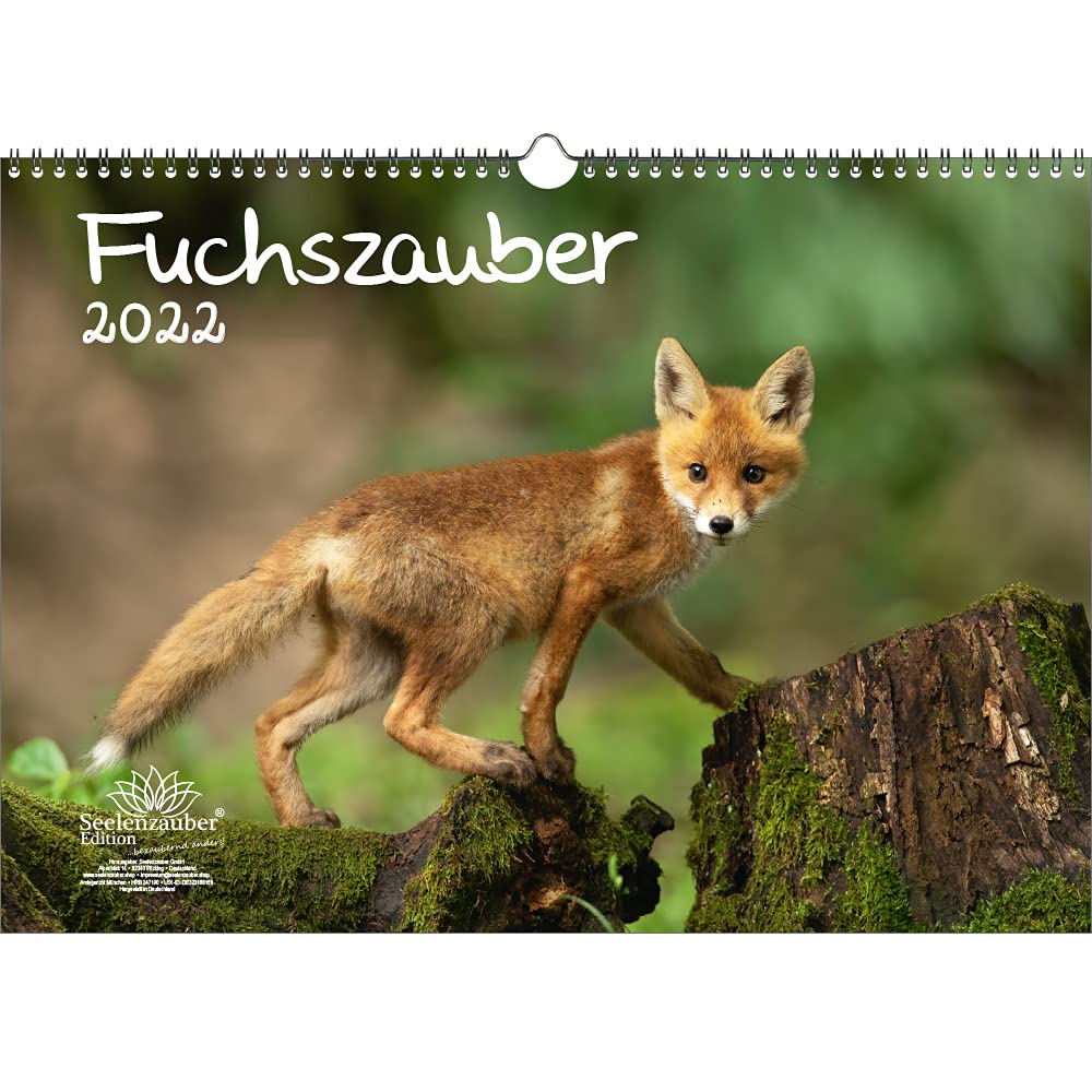 Fuchszauber DIN A3 Calendar for 2022 Fox and Foxes Seelenzauber