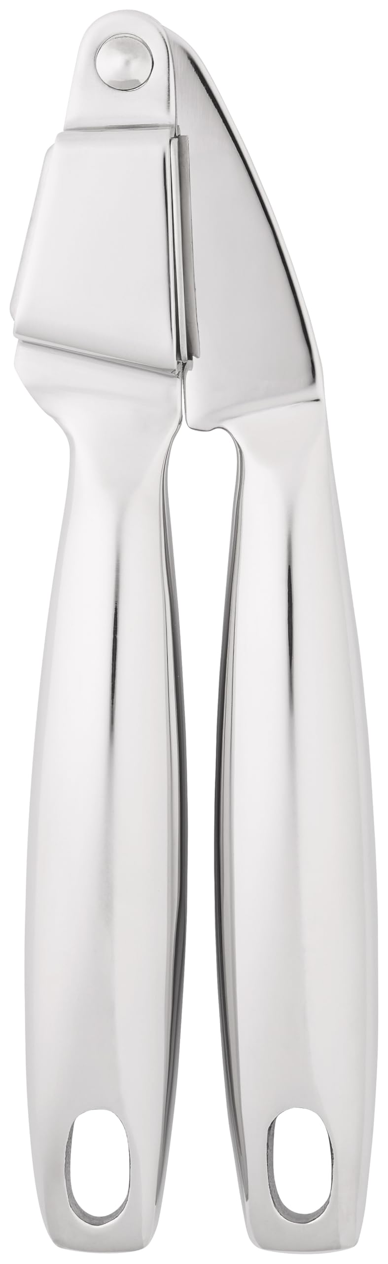 Stellar Silver Garlic Press,