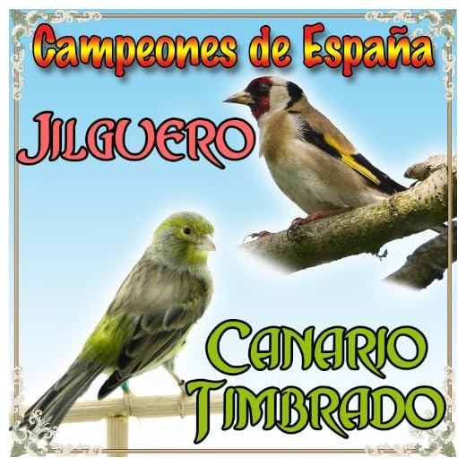 Canario Timbrado y Jilguero, Campeones de España
