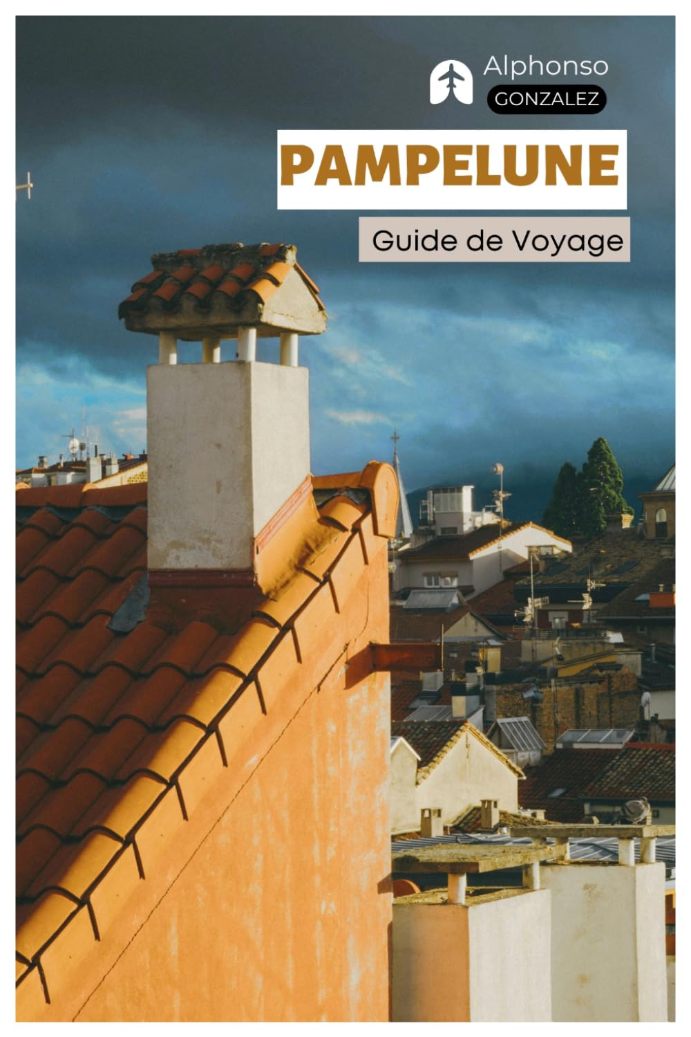 Pampelune Guide de Voyage: Planification du voyage, Hébergement, Attractions, Fêtes de San Fermín, Gastronomie, Excursions et Itinéraires