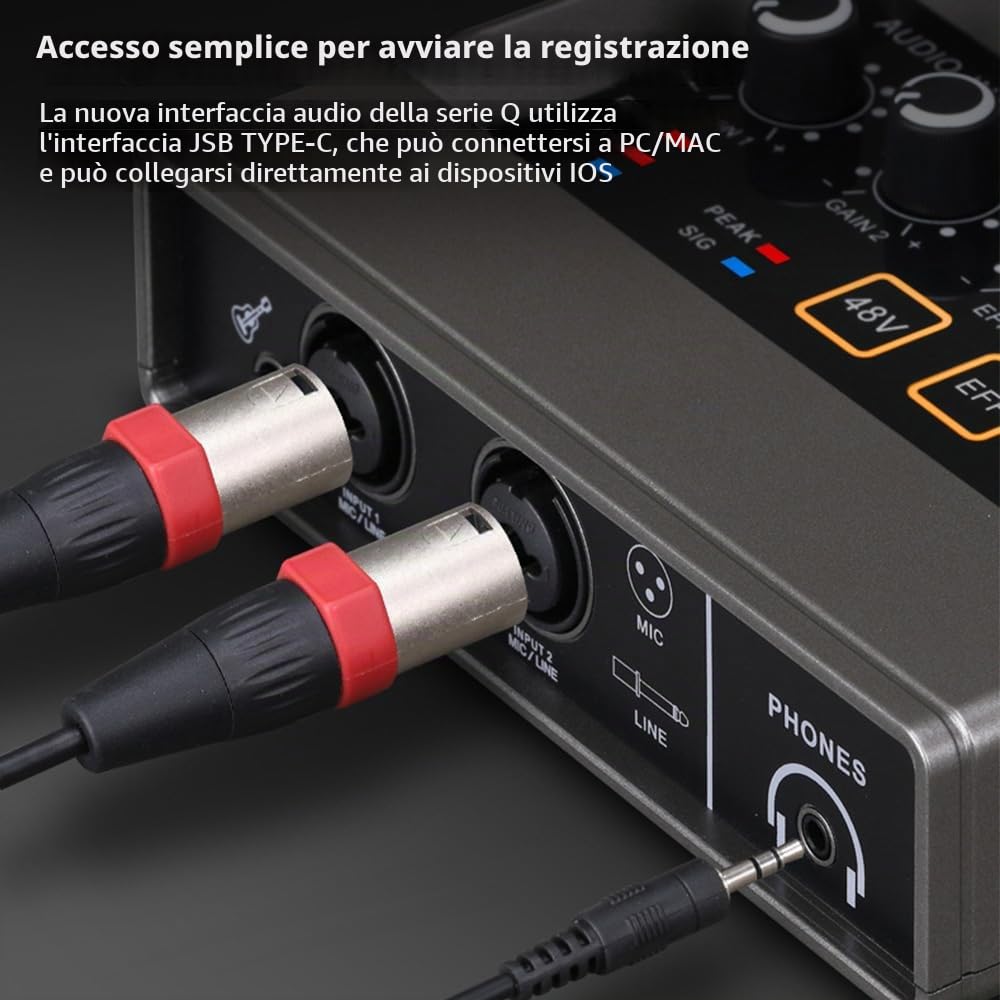 Scheda Audio Interfaccia Audio Registrazione Interfaccia Audio XLR Riverbero DSP Alimentazione Phantom 48v Scheda Audio Risoluzione 16 Bit/48 Khz Plug And Play Per Registrazione