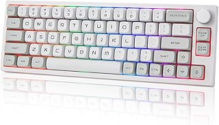 YUNZII VN66 Wireless Mechanical Keyboard,65% Hot Swappable Gaming Keyboard with Knob,South-Facing RGB,Bluetooth/Wired/2.4GHz Programmable for Mac/Win(Krystal Pink Switch, White)
