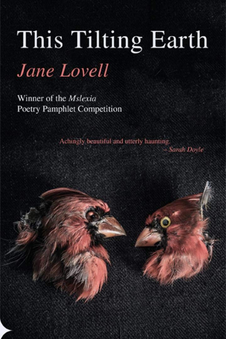 This Tilting Earth by Jane Lovell PAMPHLET / LEAFLET 9781781725252