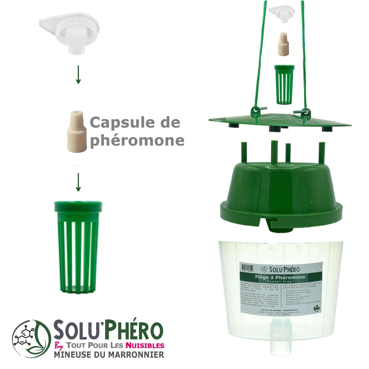 SOLUPHERO - Kit 1 Piège Funnel + 6 Phéromones Mineuse Marronnier Bio - Efficacité par Capsule de 4 à 6 Semaines - Phéromone Écologique de Contrôle de Cameraria Ohridella