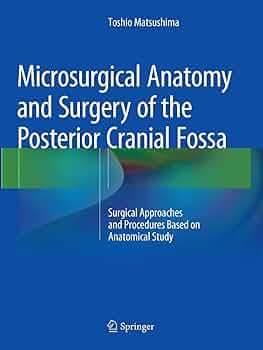 Amazon | Microsurgical Anatomy and Surgery of the Posterior