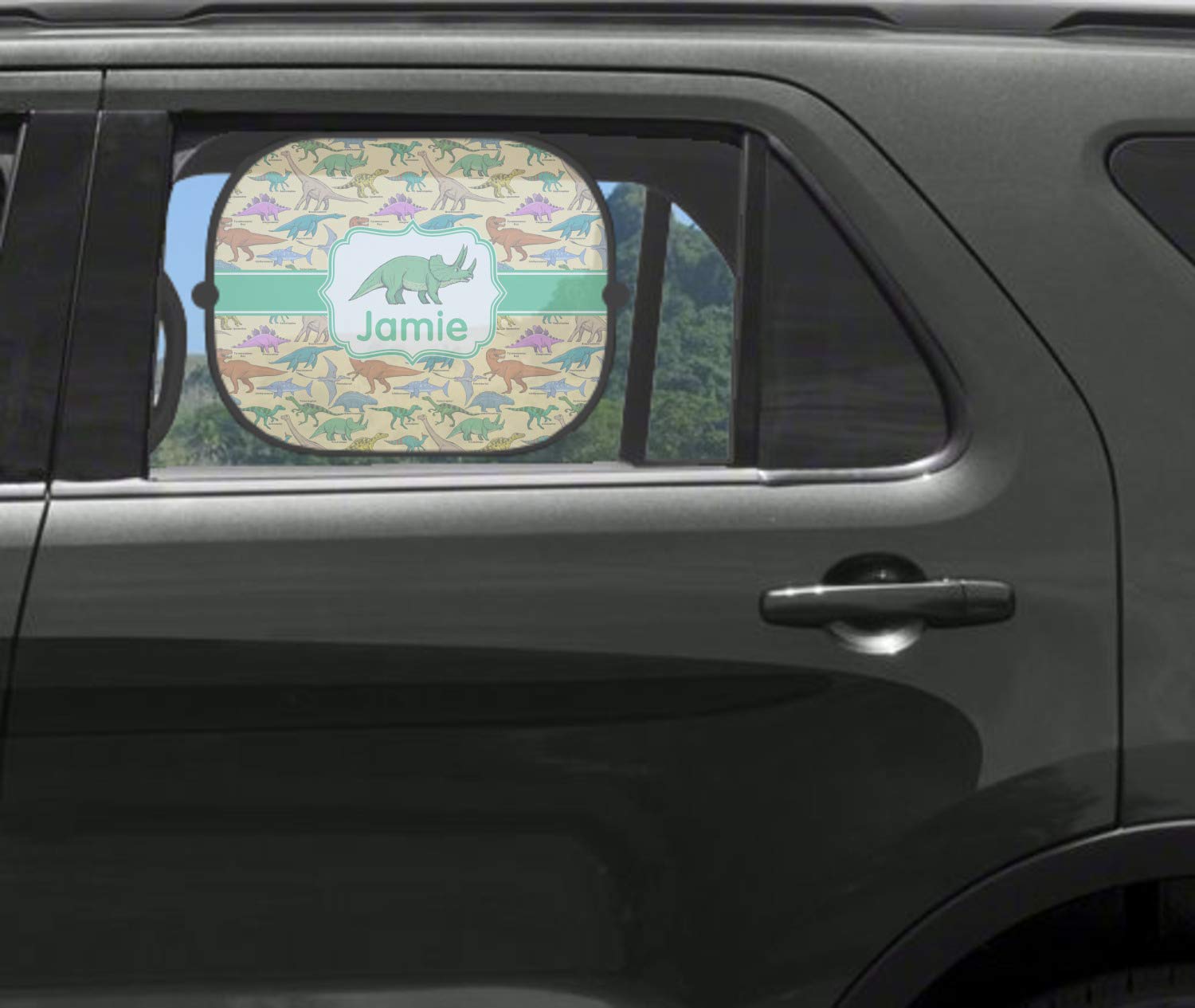 RNK Shops Personalized Dinosaurs Car Side Window Sun Shade