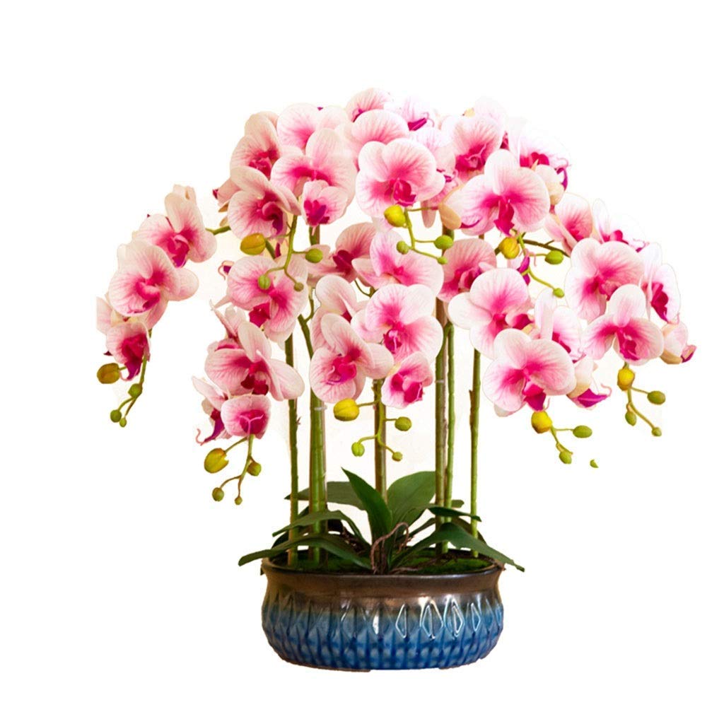 IUokLU Artificial Orchid Flowers,Artificial Orchid Artificial Flower in Pot Artificial Phalaenopsis Flowers Plant Arrangement, Faux Orchids Decoration with Ceramics Pot