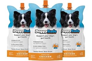 DoggyRade – Revitalizing Hydration for Canine Athletes