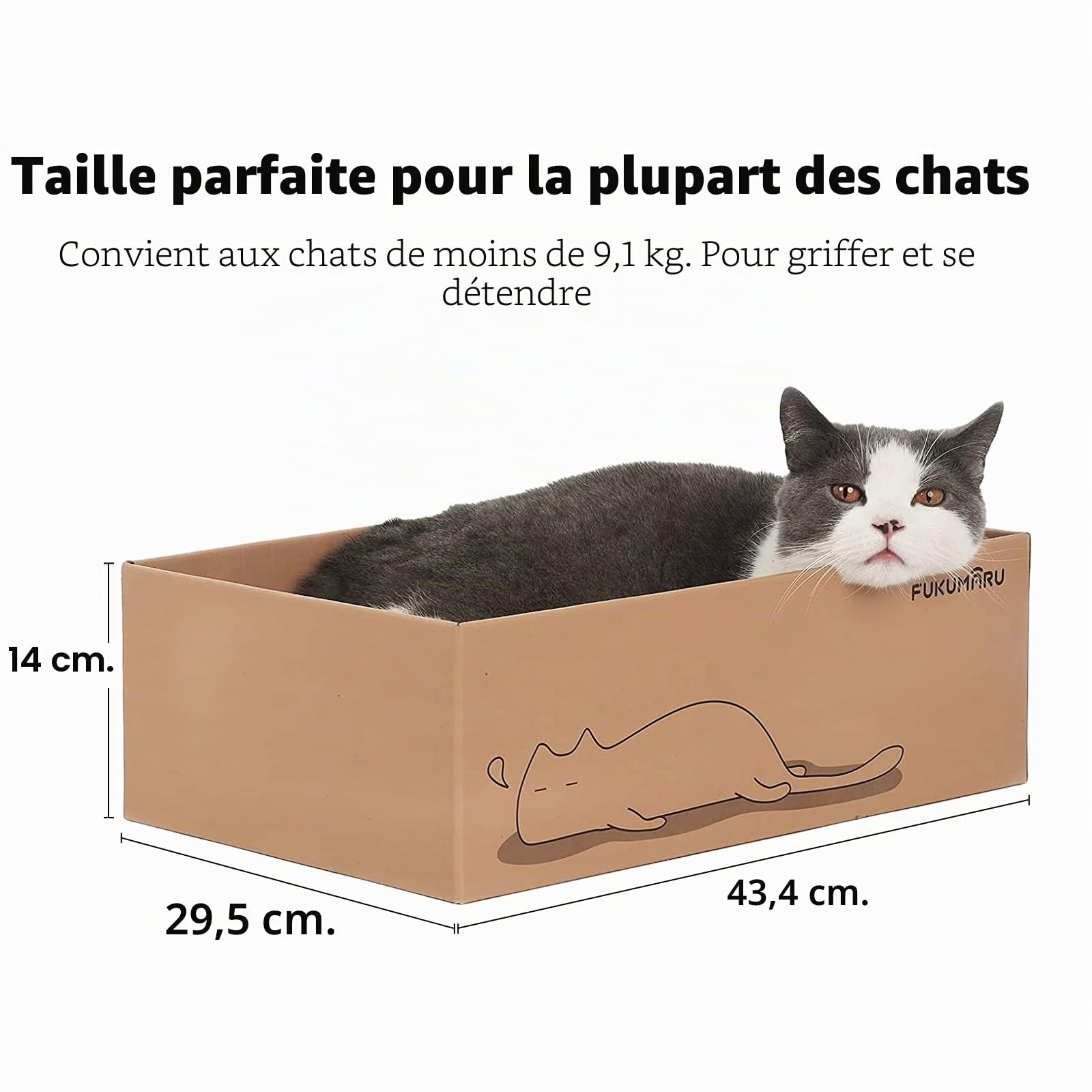 FUKUMARU Chat Grattoir Carton 5 PCS avec Boîte, Réversible Cat Scratch Pad, Kitty Ondulé Grattoir Lit