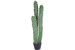 Artificial Cactus Plant 38" Tall for Home Decor