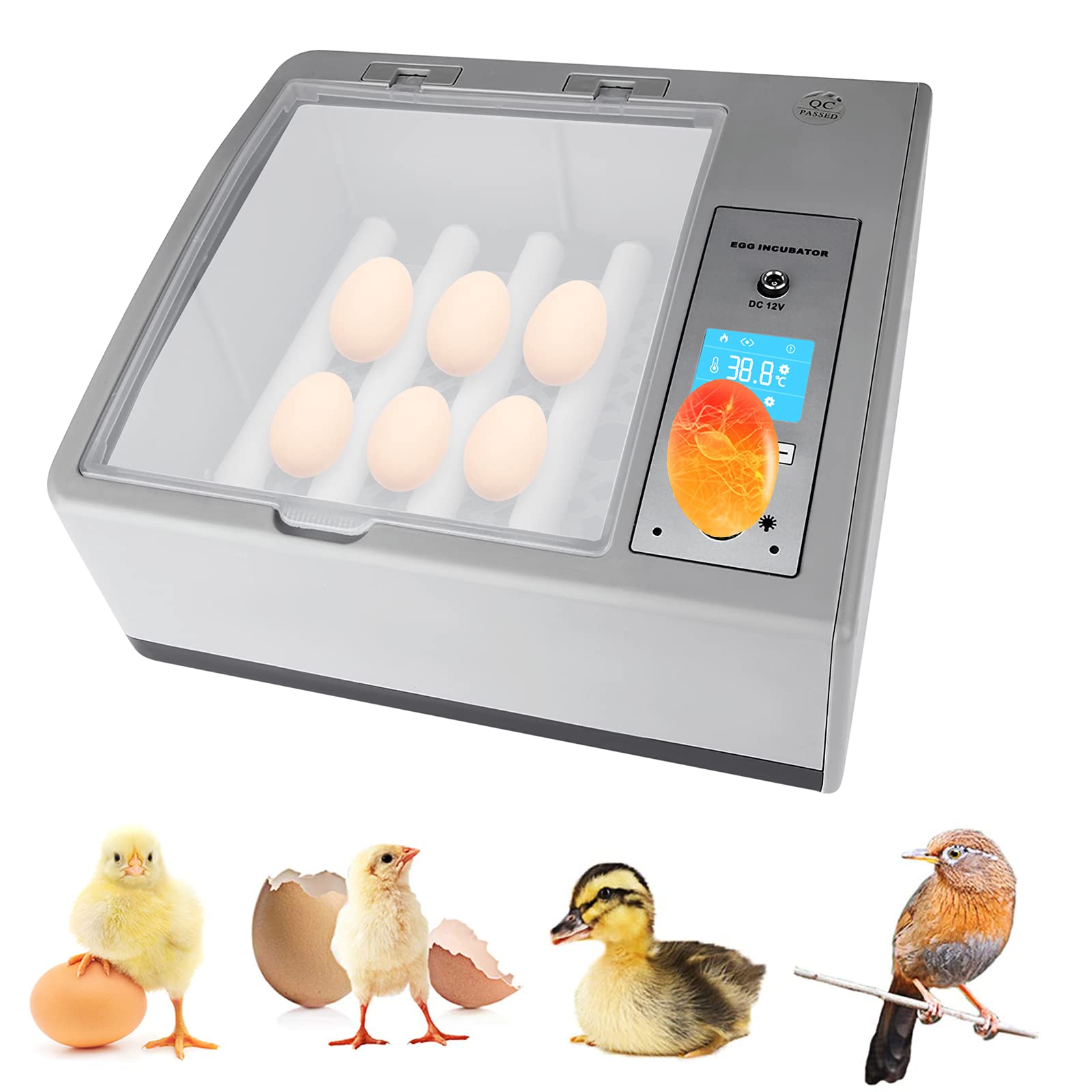Buy Egg Incubator, Incubators for Hatching Eggs with Automatic Turner