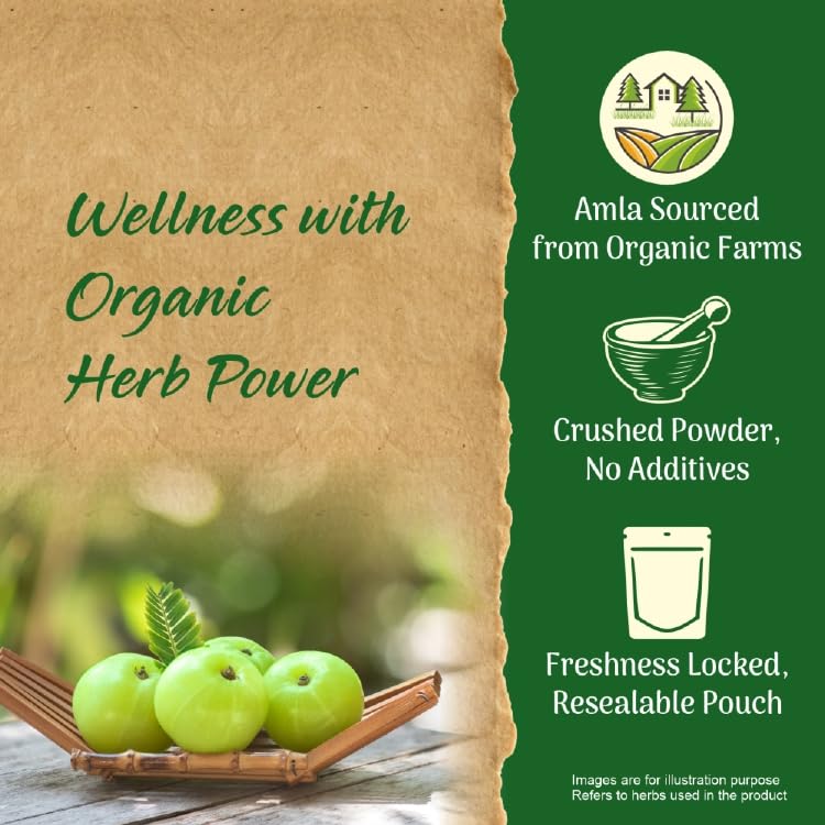 Image of Ekum Organic Amla Powder | 100% Natural | Vitamin C | Hair and Skin | Improves Immunity | Certified Organic