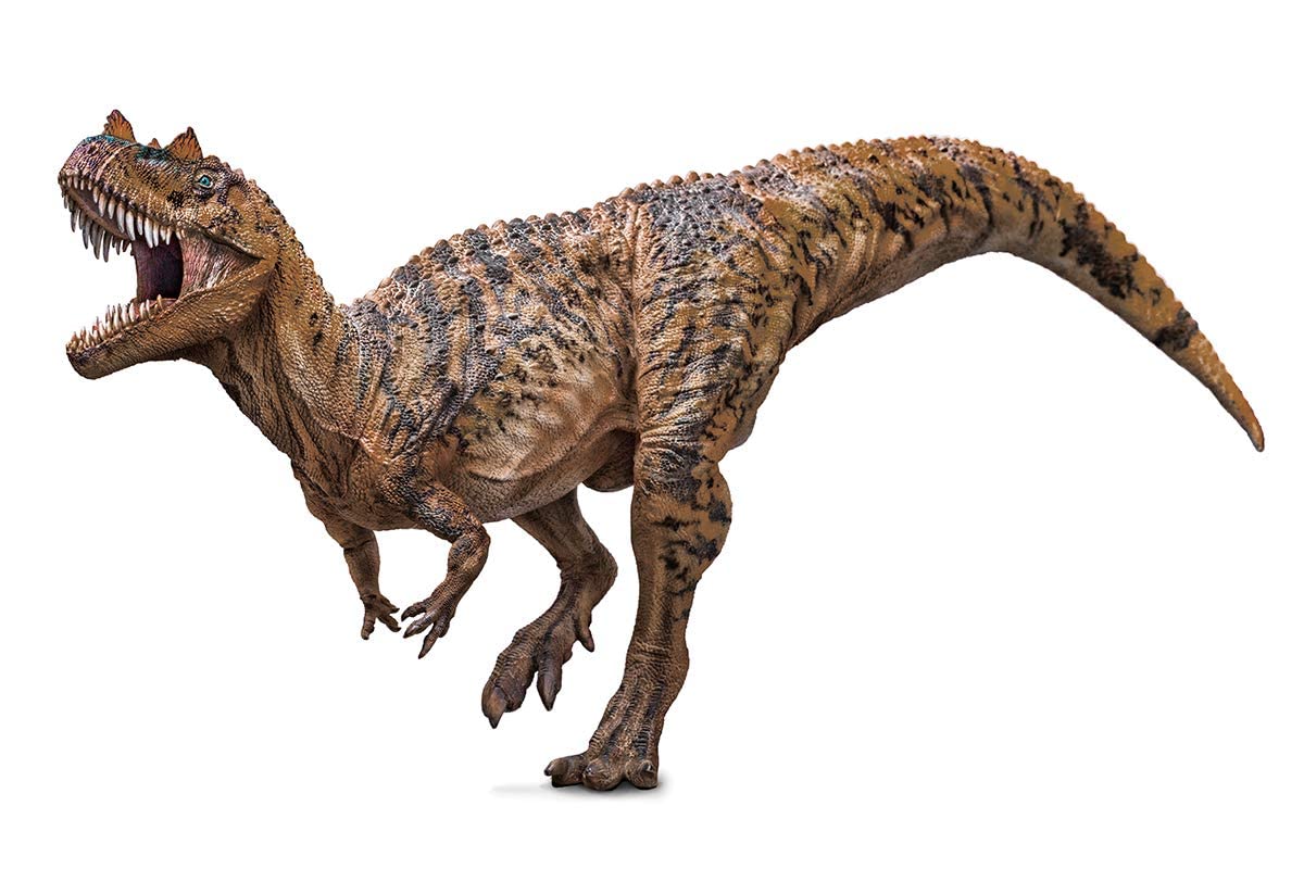 PNSO Prehistoric Dinosaur Models: 11Nick The Ceratosaurus 23.6