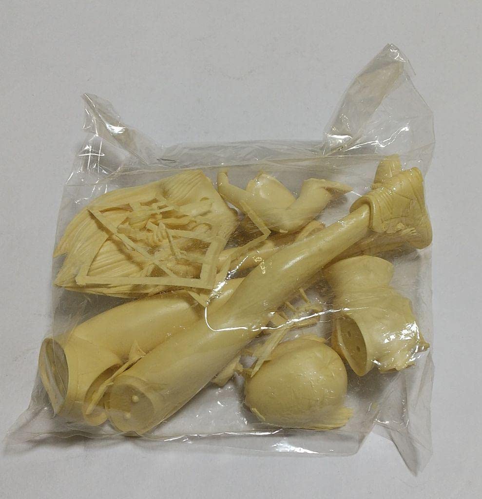 激レア　北九州比叡露 1/6　きまぐれオレンジ☆ロード　鮎川まどかガレージキット Amazon.co.jp: きまぐれオレンジロード 鮎川まどか ソフビキット