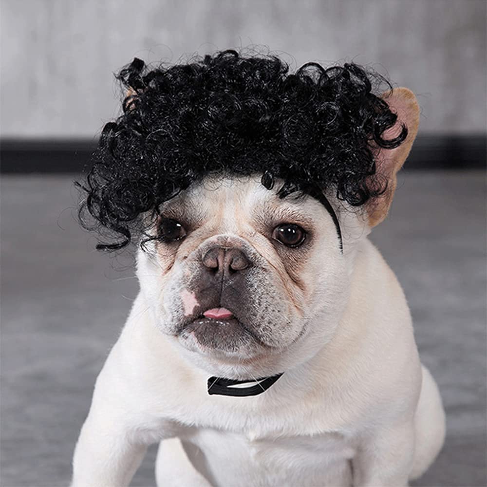 HOWWFALYHOWWFALY Dog Costume Cat Apparel Dog Toys Curly Braids Headgear Wigs Styling Cute Funny Pet Hair Accessories Decoration for Halloween, Christmas, Parties (Black)