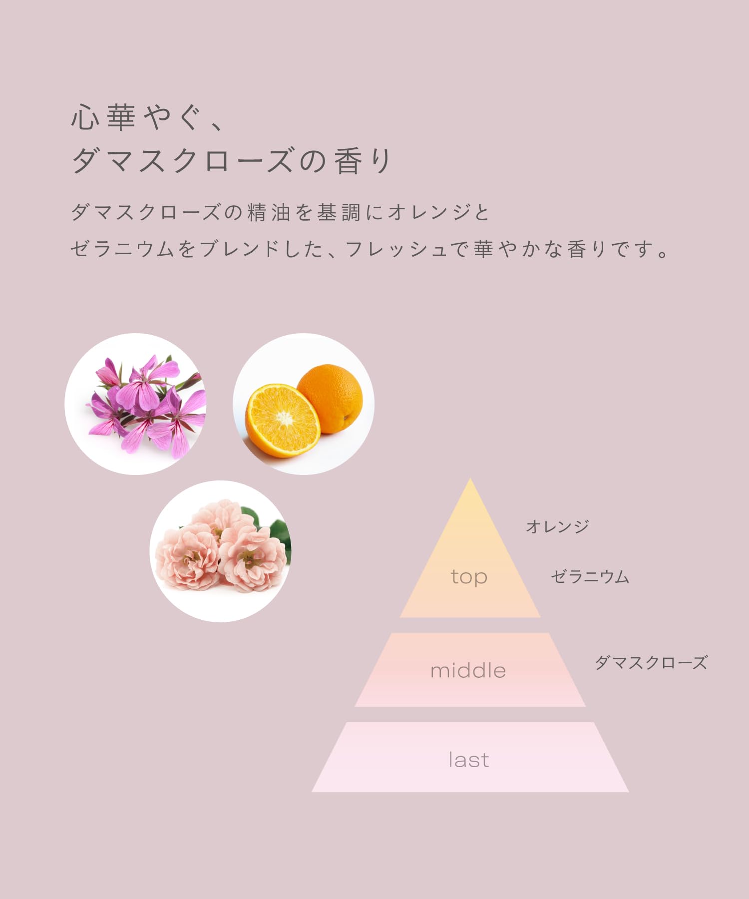 Amazon.co.jp: ジョンマスターオーガニック(john masters organics
