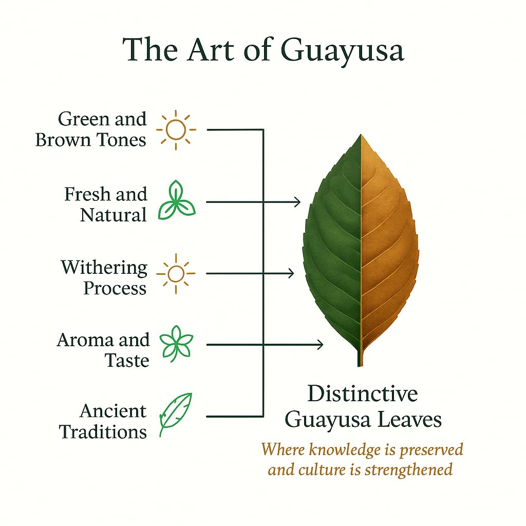 GUAYUSA TEA BAGS by PACHA | Naturally High in Antioxidants, L-Theanine & Theobromine | Sustained Energy Herbal Tea | Alternative to Yerba Mate, Coffee, Black and Green Tea. (100 Count, Guayusa)
