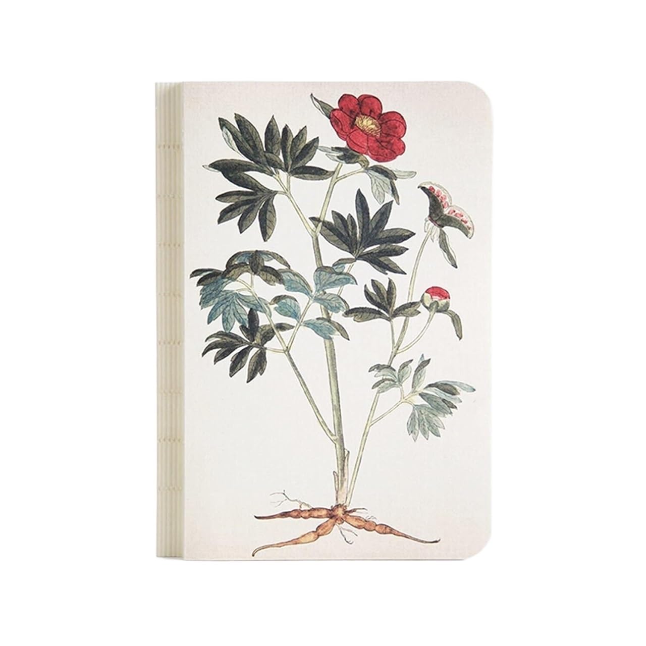 Taccuino con copertina rigida, materiale di superficie morbida, carta super spessa, adatto per libri domestici, taccuino con copertina rigida dipinta a mano. (stile B)