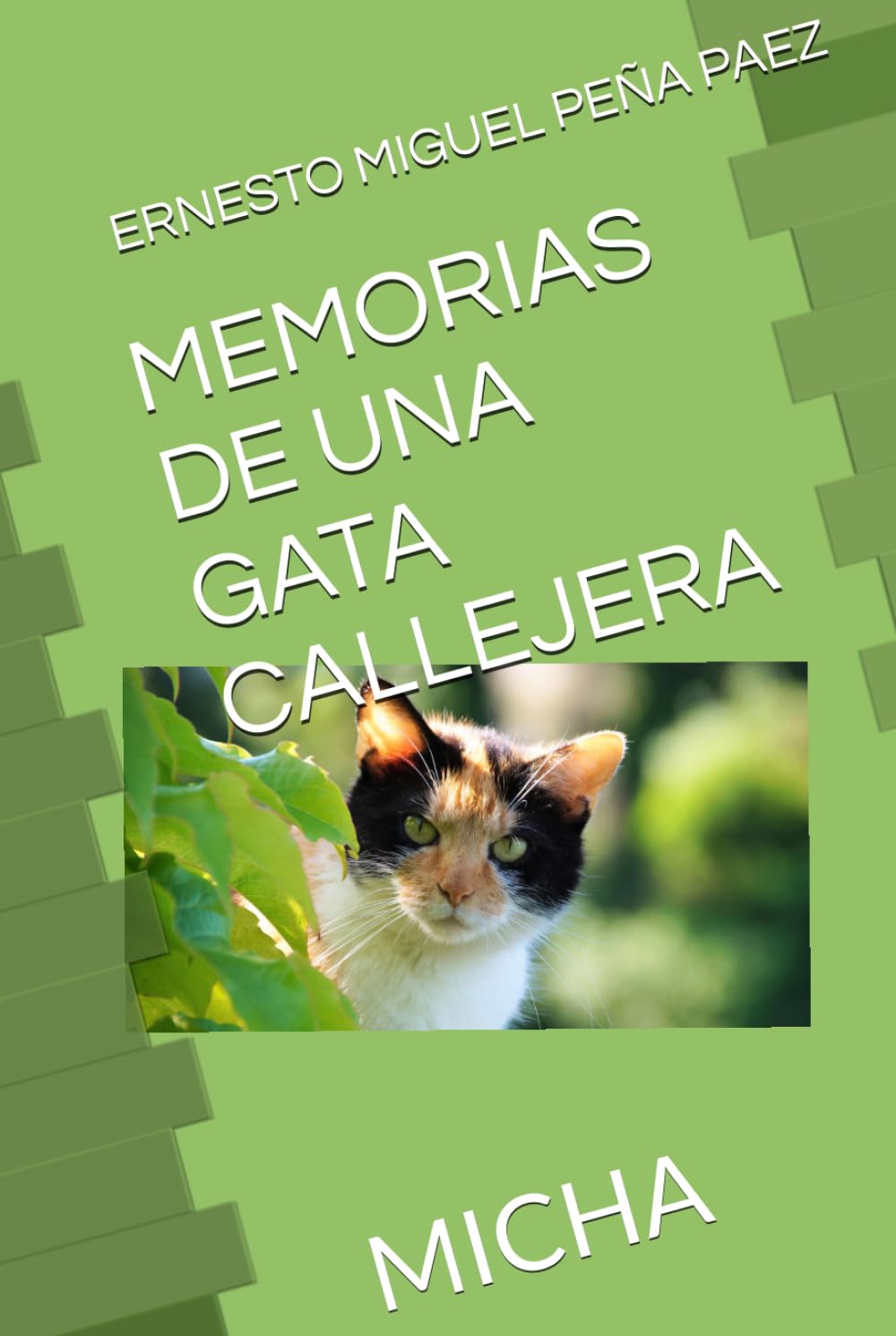MEMORIAS DE UNA GATA CALLEJERA: MICHA