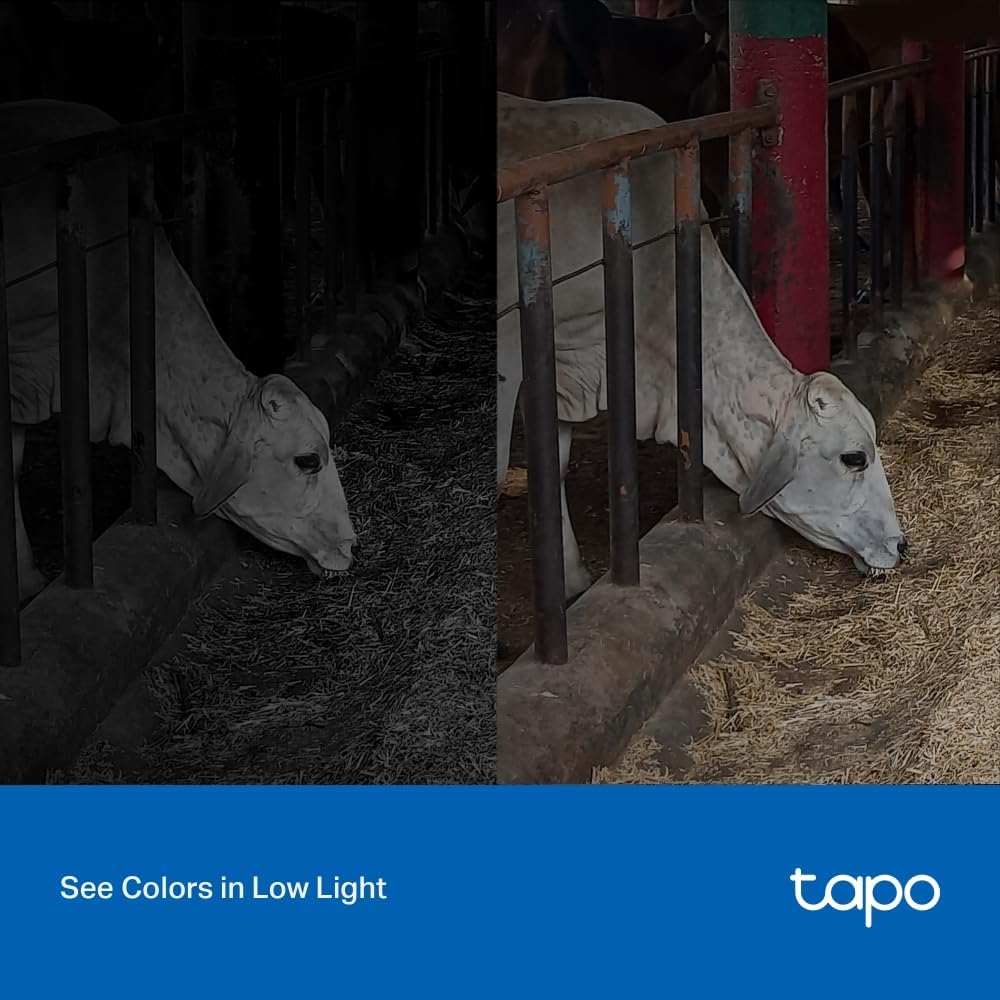 Review Tapo C320WS: a câmera que redefine segurança com 4 MP e visão noturna 9 61EKUu01KWL. AC SL1000