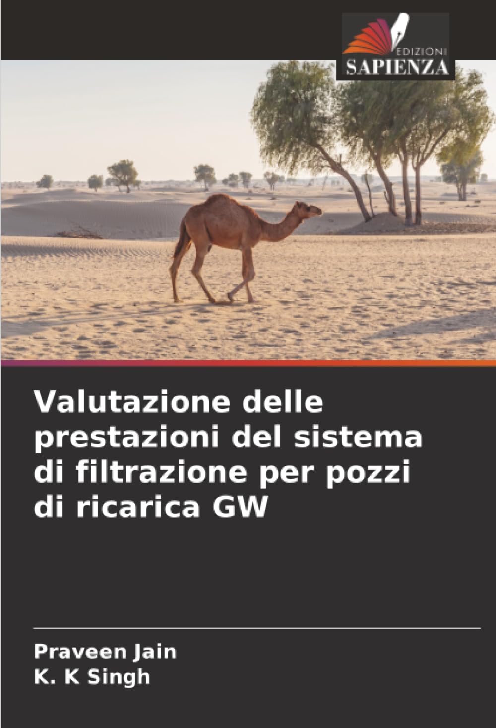 Valutazione delle prestazioni del sistema di filtrazione per pozzi di ricarica GW